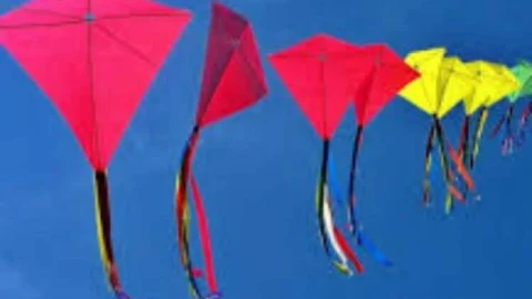 सुबह 10 से शाम 4 बजे तक उड़ा सकेंगे पतंग, चाइनीज मांझे पर पूर्ण प्रतिबंध