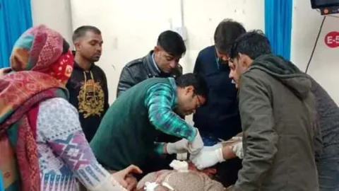 शहर में दो दिन से बंदरों ने मचाया आतंक, आधा दर्जन से अधिक घायल