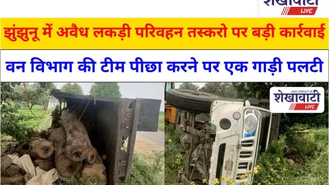 Video News: झुंझुनू में अवैध लकड़ी परिवहन तस्करो पर बड़ी कार्रवाई