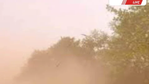 झुंझुनूं में तेज हवाओं और वज्रपात की चेतावनी, येलो अलर्ट जारी | jhunjhunu