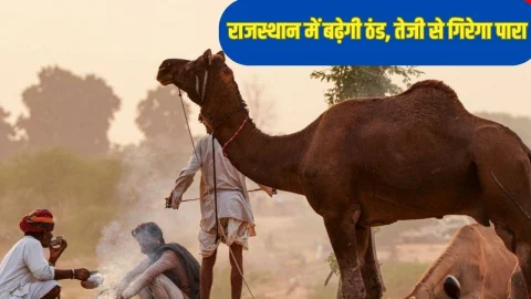 राजस्थान में मौसम ने लिया करवट, बर्फीली हवाओं ने बढ़ाई ठंड,  अगले दो दिनों तक इन जिलों में ठंड के साथ बारिश का अलर्ट