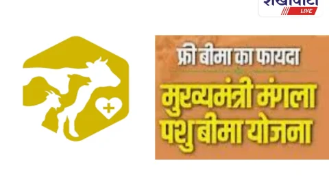 मंगला पशु बीमा योजना: पंजीकरण और बीमा एक साथ शुरू