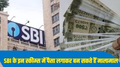 SBI Best Schemes: SBI के इन 4 स्कीम में पैसा लगाकर बन सकते हैं मालामाल, भर-भर कर मिलेगा रिटर्न, जानिए डीटेल्स