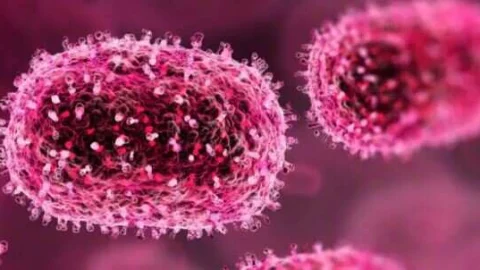 एचएमपी सामान्य वायरस है, इससे घबराने की आवश्यकता नहीं – जिला कलेक्टर