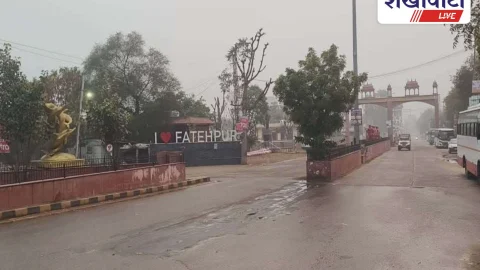 Sikar News: अलसुबह हल्की बारिश, 5 दिन से घना कोहरा