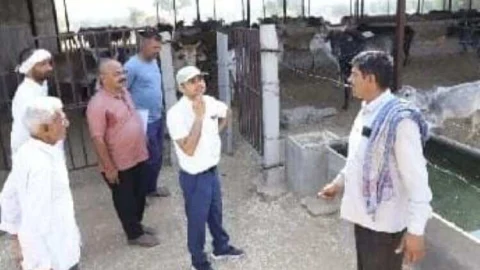 उपखण्ड अधिकारी ने किया गौशालाओं का निरीक्षण