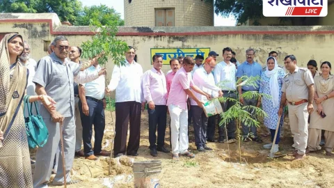 काजड़ा में उपखंड स्तरीय वन महोत्सव, 101 पौधे रोपे