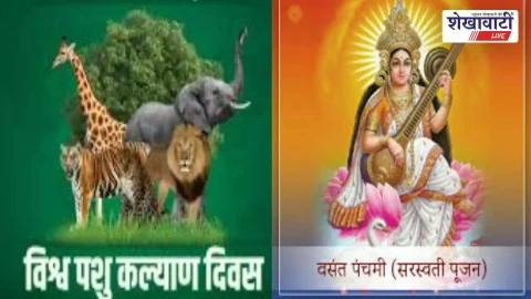 बसंत पंचमी पर जीव-जंतु कल्याण दिवस: पशुओं के लिए विशेष शिविर