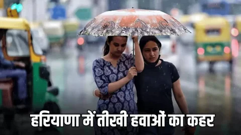 Haryana Weather Update : हरियाणा में तीखी हवाओं का कहर, 8 डिग्री तक गिरा तापमान, आज 14 जिलों में IMD अलर्ट