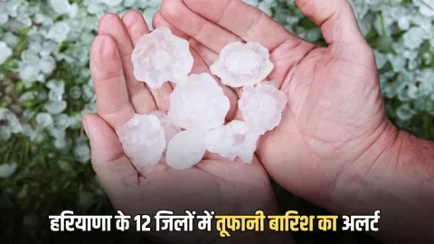 हरियाणा के 12 जिलों में तूफानी बारिश का अलर्ट, सिरसा में ओले गिरे, अगले 3 दिन ऐसा रहेगा मौसम