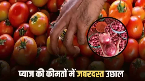 Agriculture News (कृषि समाचार) : Mandi Bhav : प्याज की कीमतों में जबरदस्त उछाल! जारी हुए आज राजस्थान की मुहाना मंडी के भाव