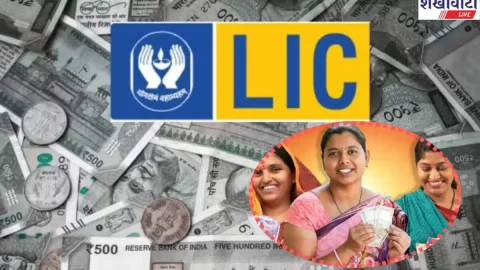 व्यवसाय : LIC New Plan: एक बार पैसा लगाओ और पूरी लाइफ करो मौज! LIC लाया है शानदार प्लान, जाने डीटेल्स