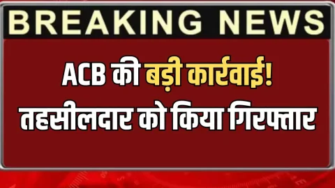 National News (नेशनल समाचार) : हरियाणा में ACB की बड़ी कार्रवाई! तहसीलदार को किया गिरफ्तार, जानें वजह