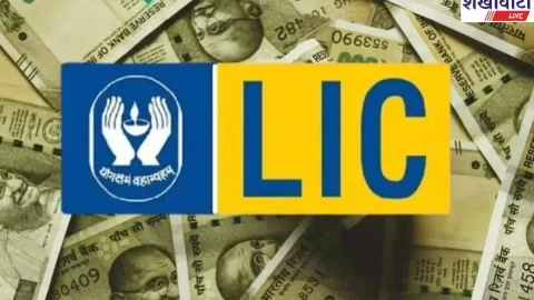 LIC की मालामाल बनाने वाली स्कीम, कम पैसा लगाकर बन सकते हैं धनवान, यहां देखें डीटेल्स