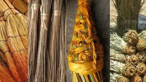 Business Idea: 5000 के खर्च में शुरू करें यह शानदार बिजनेस, घर बैठे होगी मोटी कमाई