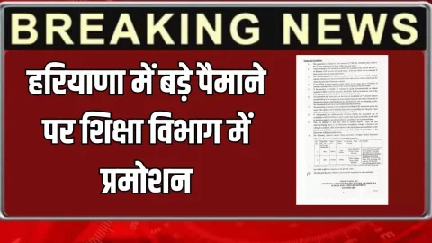 Haryana Promotion News : हरियाणा में बड़े पैमाने पर शिक्षा विभाग में प्रमोशन, देखें पूरी लिस्ट