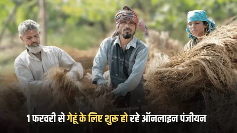 Agriculture News (कृषि समाचार) : 1 फरवरी से गेहूं के लिए शुरू हो रहे ऑनलाइन पंजीयन, 10 मार्च से 30 जून तक राज्य सरकार करेगी खरीदी, किसानों को मिला बड़ा तोहफा