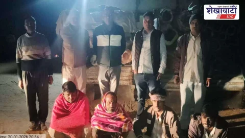 Jhunjhunu News : वन विभाग की बड़ी कार्रवाई: हरी लकड़ी तस्करी नाकाम, 4 गिरफ्तार