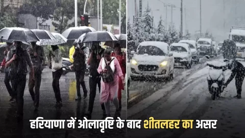 हरियाणा में ओलावृष्टि के बाद शीतलहर का असर; आज से पड़ेगी हाड कंपा देने वाली ठंढ