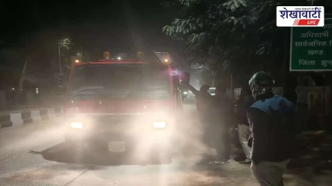 चिड़ावा में आक्रामक बंदर का आतंक खत्म: 10 लोगों पर हमला