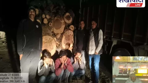 Jhunjhunu News : हरी लकड़ी तस्करी पर नकेल, दो वाहन जब्त,चार आरोपी दबोचे