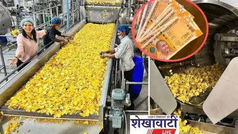 व्यवसाय : Business Idea: महिलाएं घर बैठे इस बिज़नेस को शुरू कर बन सकती है मालामाल, हर महीने होगी लाखों की कमाई