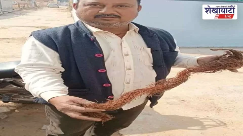 पेयजल लाइन में फंसी पेड़ की जड़ निकाली, लोगों को मिली पानी की समस्या से निजात