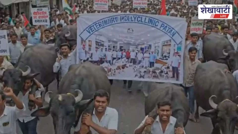 Sikar News (सीकर समाचार) : सरपंचों के बाद पशुपालक भी बोले : पाटन को मिले पॉलीक्लिनिक रूपी संजीवनी