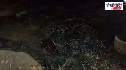 चूरू के भामासी में किसान के छपरे में आग, 2 गायें जिंदा जलीं