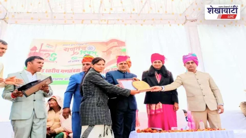 सीकर में डॉ मंजू यादव उपखंड स्तर पर सम्मानित